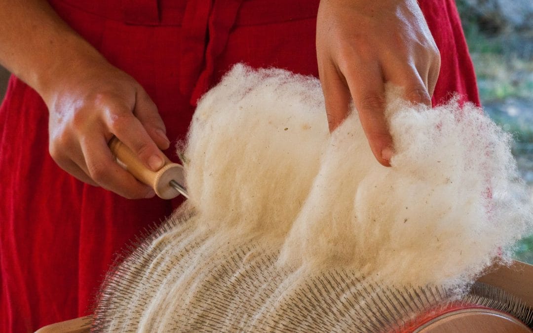 La laine, un déchet ?