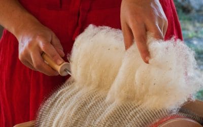 La laine, un déchet ?