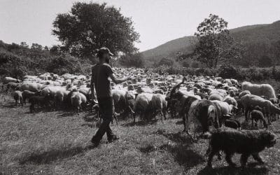 Rando’laine du printemps