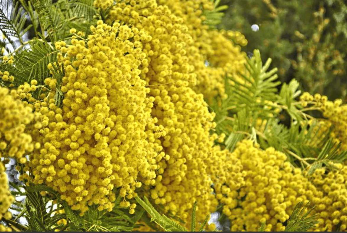 Capture d’écran 2025-10-30 à 12.19.09