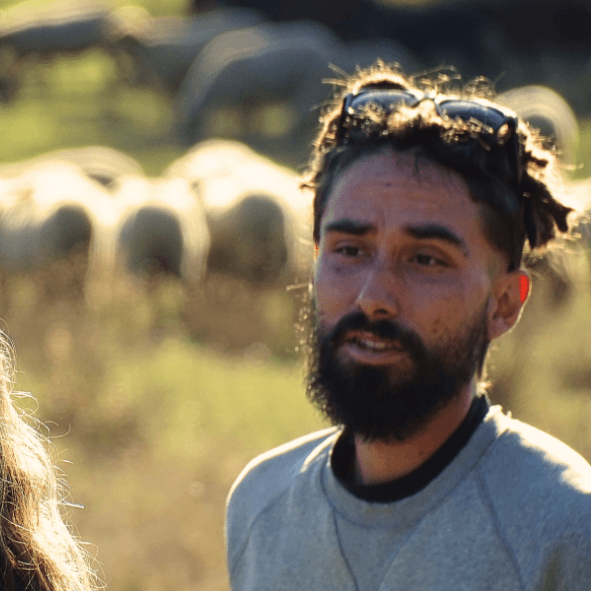 Filage de la laine de mouton à la Ferme du Lambert